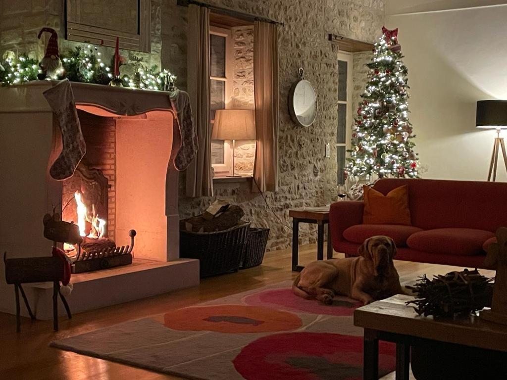 Uniquely Private Holiday Villa In The Charente Puyreaux 外观 照片