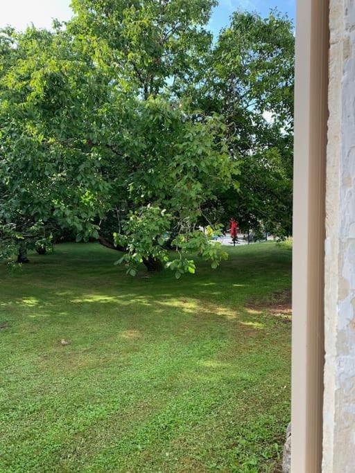 Uniquely Private Holiday Villa In The Charente Puyreaux 外观 照片
