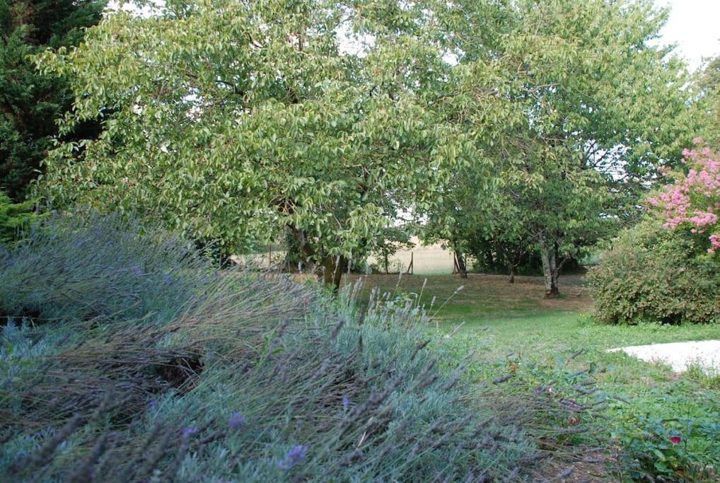 Uniquely Private Holiday Villa In The Charente Puyreaux 外观 照片